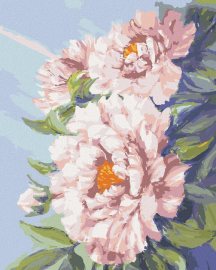 Zuty Kvety ružovej pivonky, 40x50cm bez rámu a bez napnutia plátna