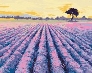 Zuty Levanduľové pole so stromom, 40x50cm napnuté plátno na ráme - cena, srovnání