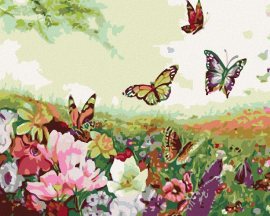 Zuty Maľovanie podľa čísel Lúka plná motýľov, 50x40cm napnuté plátno na rám