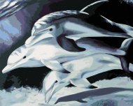 Zuty Maľovanie podľa čísel Tri delfíny, 40x50cm napnuté plátno na rám - cena, srovnání
