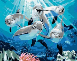 Zuty Maľovanie podľa čísel Veselé delfíny (Howard Robinson), 40x50cm bez rámu a bez napnutia plátna