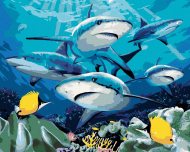 Zuty Maľovanie podľa čísel Žraloky a koralový útes (Howard Robinson), 40x50cm bez rámu a bez napnutia plátna - cena, srovnání