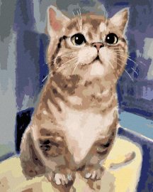 Zuty Maľovanie podľa čísel Zvedavá mačka, 40x50cm napnuté plátno na rám