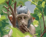 Zuty Opica v prírodnom lese, 40x50cm plátno napnuté na rám - cena, srovnání