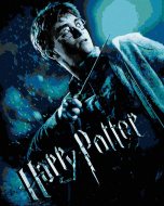 Zuty Plagát Harry Potter a princ dvojakej krvi, 40x50cm napnuté plátno na rám - cena, srovnání