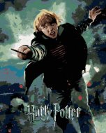 Zuty Plagát Harry Potter a relikvia smrti Ron, 40x50cm plátno napnuté na rám - cena, srovnání