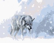 Zuty Sivý vlk v zimnej krajine, 40x50cm plátno napnuté na rám - cena, srovnání