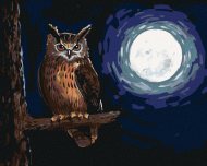 Zuty Sova a svit mesiaca, 40x50cm plátno napnuté na rám - cena, srovnání