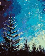 Zuty Strom a nočná obloha v lese, 40x50cm bez rámu a bez napnutia plátna - cena, srovnání