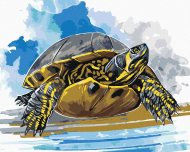 Zuty Vodná korytnačka, 40x50cm vypnuté plátno na rám - cena, srovnání