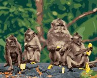 Zuty Štyri opice s banánmi, 80x100cm bez rámu a bez napnutia plátna - cena, srovnání