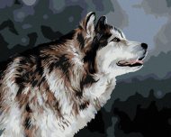 Zuty Vyzerajúci husky, 80x100cm bez rámu a bez napnutia plátna - cena, srovnání