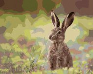 Zuty Zajac v tráve, 80x100cm plátno napnuté na rám - cena, srovnání