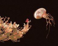 Zuty Žena naťahujúca sa po medúze, 80x100cm bez rámu a bez napnutia plátna - cena, srovnání