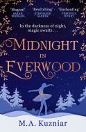 Midnight in Everwood - cena, srovnání