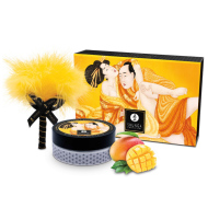 Shunga Edible Massage Powder Kit Mango - cena, srovnání