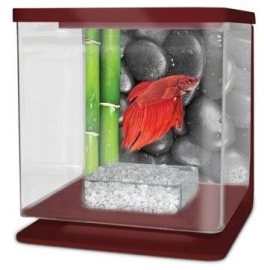 Cat-Gato Betarium Betta kit stones 2l