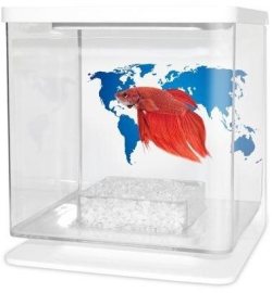 Cat-Gato Betarium Betta kit world map 2l