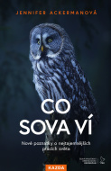 Co sova ví - cena, srovnání