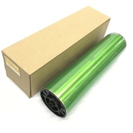 Ricoh D1799510