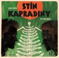 Stín kapradiny - CDmp3 - cena, srovnání