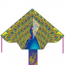 Invento drak Simple Flyer Peacock