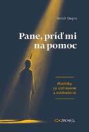 Pane, príď mi na pomoc - cena, srovnání