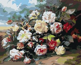 Zuty Maľovanie podľa čísel - Divoké ruže, 100 x 80 cm, napnuté plátno na rám