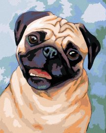 Zuty Maľovanie podľa čísel - Hnedý mops, 80 x 100 cm, bez rámu a napnutého plátna