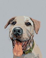 Zuty Maľovanie podľa čísel - Pes so zeleným obojkom, 80 x 100 cm, bez rámu a bez napnutia plátna - cena, srovnání