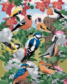 Zuty Maľovanie podľa čísel - Vtáky a biele kvetiny (Howard Robinson), 40 x 50 cm, napnuté plátno na ráme