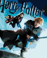 Zuty Plagát Harry Potter a princ dvojakej krvi Ron a Ginny, 40x50 cm, vypnuté plátno na rám - cena, srovnání