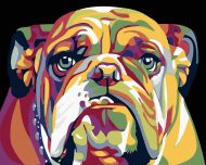 Zuty Maľovanie podľa čísel - Buldog, 100 x 80 cm, napnuté plátno na ráme - cena, srovnání