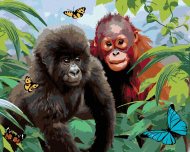 Zuty Maľovanie podľa čísel - Orangutan a malá gorila (Howard Robinson), 80 x 100 cm, napnuté plátno na rám - cena, srovnání