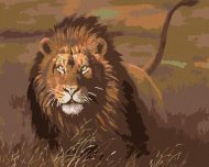 Zuty Maľovanie podľa čísel - Lev v savane, 50 x 40 cm, napnuté plátno na ráme - cena, srovnání