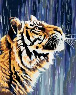 Zuty Maľovanie podľa čísel - Tiger pri vodopáde, 80 x 100 cm, napnuté plátno na ráme - cena, srovnání