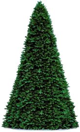 Laalu Vianočný stromček DELUXE jedľa Bernard 500cm