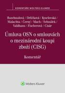Úmluva OSN o smlouvách o mezinárodní koupi zboží - cena, srovnání