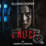 V Kleci - Sayer Altairová 1 - CDmp3 - cena, srovnání