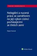 Nelegální a nucená práce se zaměřením na její výkon - cena, srovnání