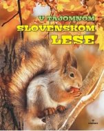 V tajomnom slovenskom lese - cena, srovnání