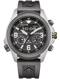 Citizen JV1007