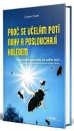 Proč se včelám potí nohy a poslouchají kolenem - cena, srovnání
