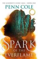 Spark of the Everflame - cena, srovnání