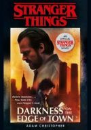 Stranger Things: Darkness on the Edge of Town : The Second Official Novel - cena, srovnání