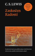 Zaskočen radostí - cena, srovnání