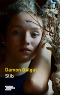 Slib - Damon Galgut - cena, srovnání
