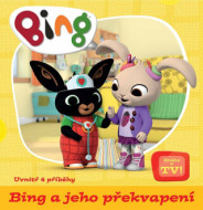 Bing a jeho překvapení - cena, srovnání