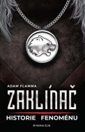 Zaklínač - Historie fenoménu - cena, srovnání