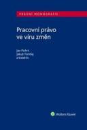 Pracovní právo ve víru změn - cena, srovnání